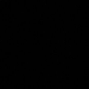 Meet your Posher, Deneisha